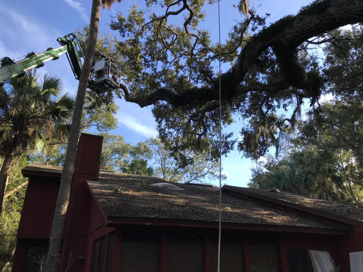 Aerial lift reaching a live oak over a house — tree service in Jacksonville, FL by Jax Tree Removal