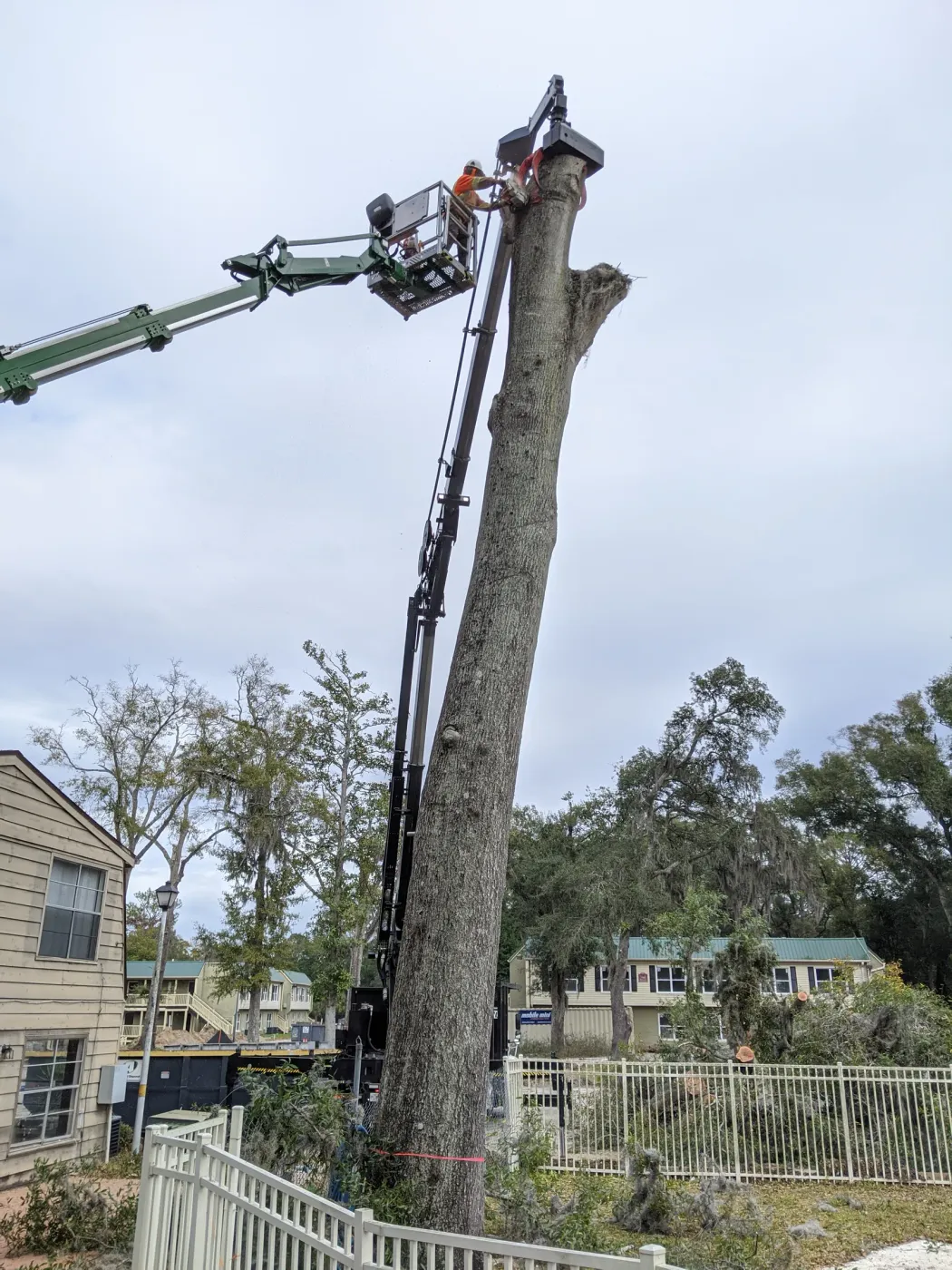 Crane removing a tall tree at an apartment complex — tree removal in Jacksonville, FL by Jax Tree Removal