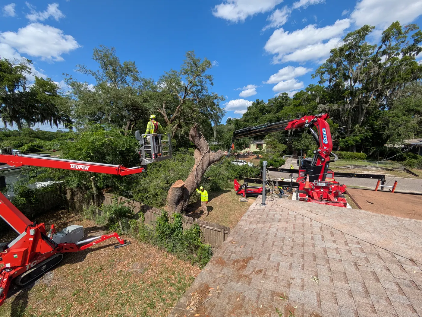 Crane tree removal — crane tree removal in Jacksonville, FL by Jax Tree Removal
