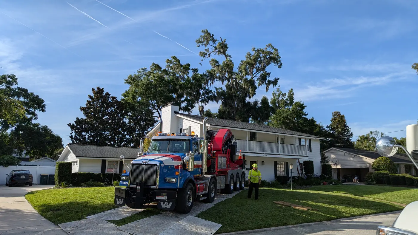 Crane tree removal — crane tree removal in Jacksonville, FL by Jax Tree Removal