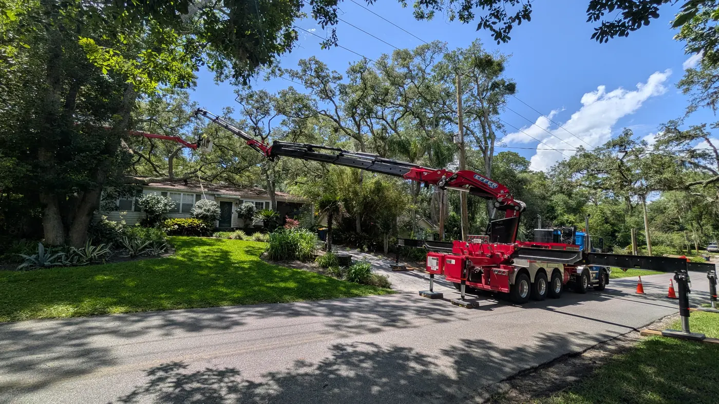 Crane tree removal — crane tree removal in Jacksonville, FL by Jax Tree Removal