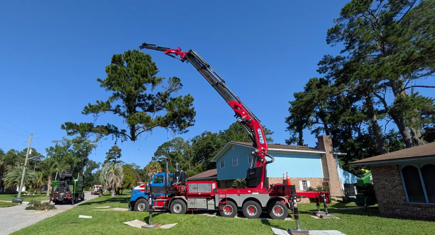Crane tree removal — crane tree removal in Jacksonville, FL by Jax Tree Removal