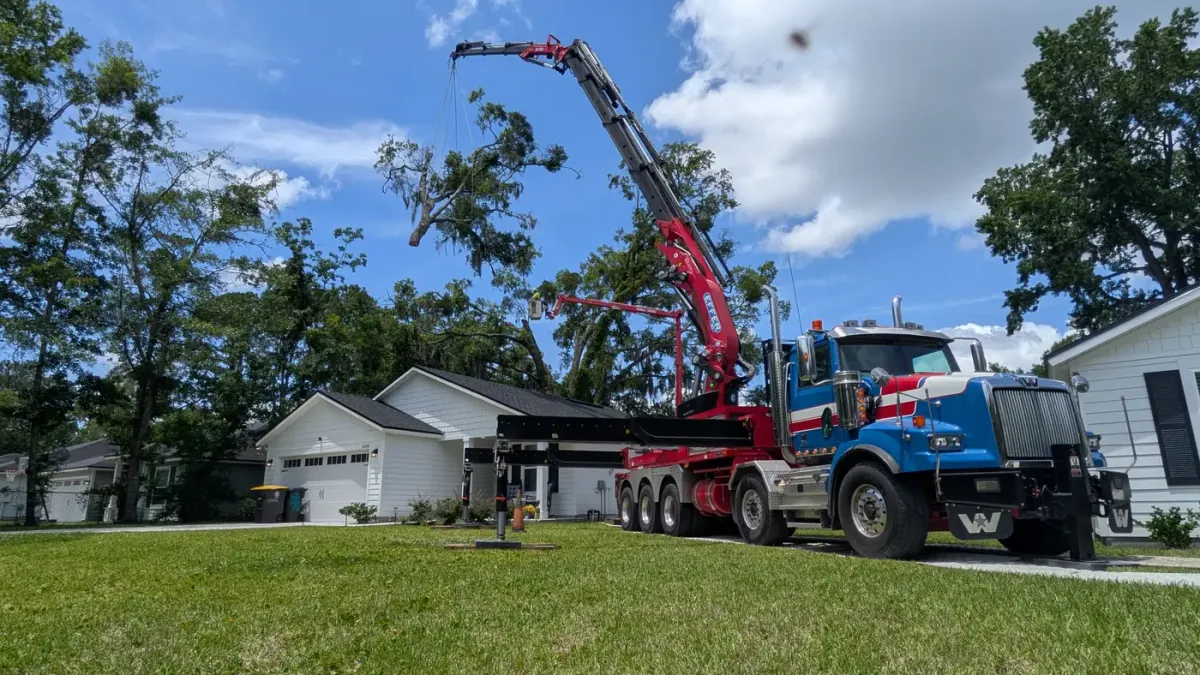 Crane tree removal — crane tree removal in Jacksonville, FL by Jax Tree Removal