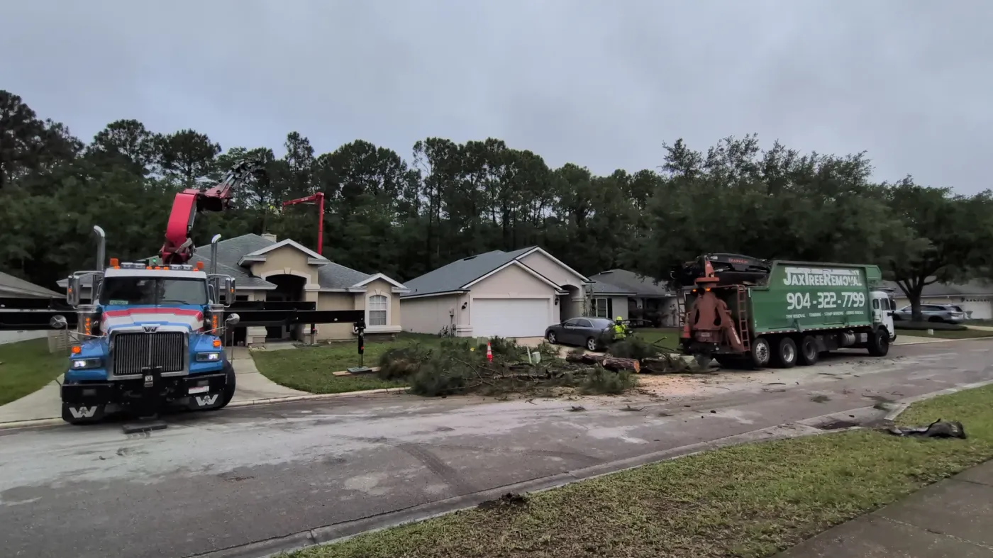 Jax Tree Removal blue crane truck and branded green grapple truck working a neighborhood job with debris on the lawn in Jacksonville, FL