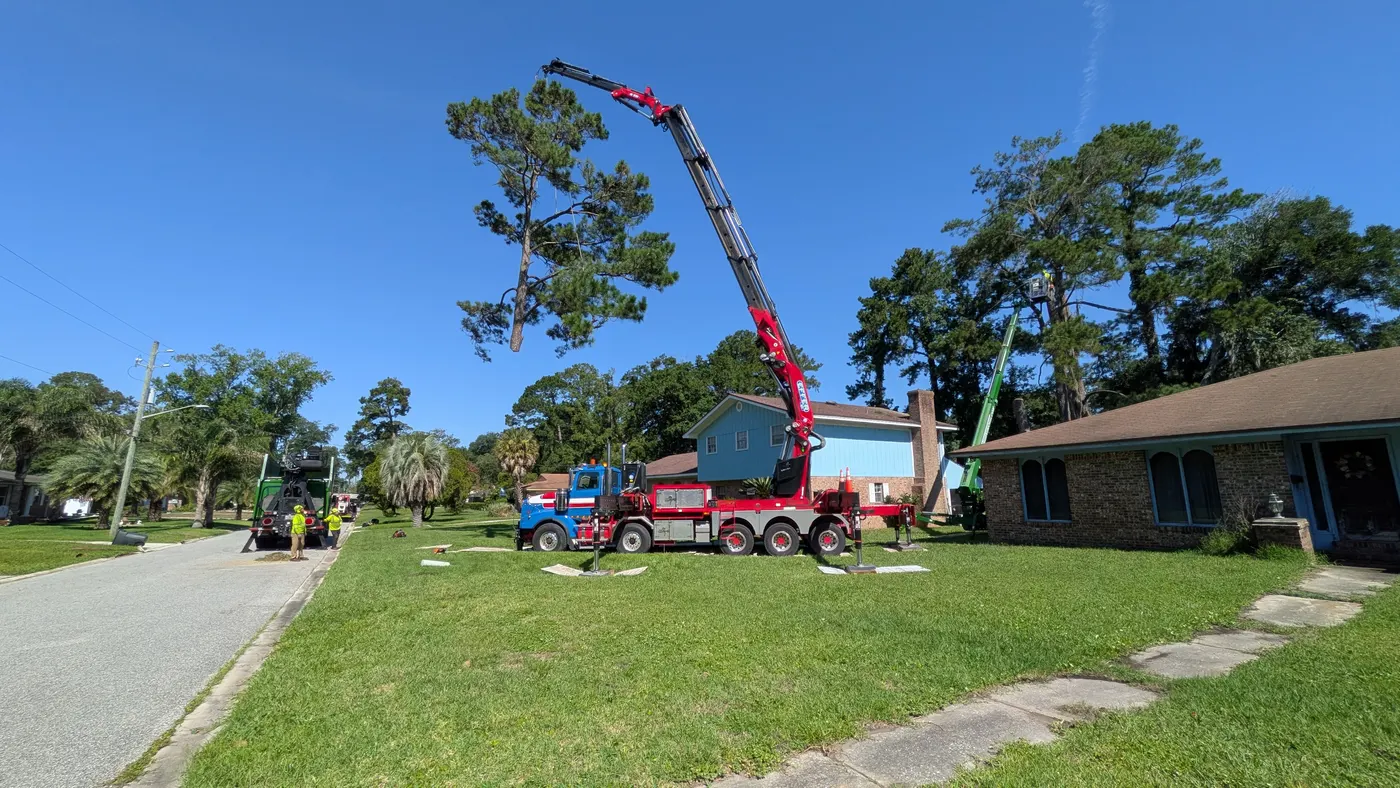 Crane tree removal — crane tree removal in Jacksonville, FL by Jax Tree Removal
