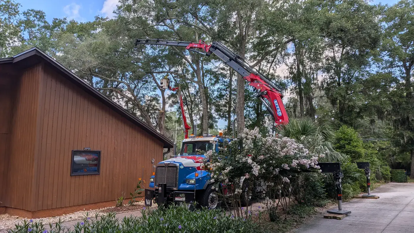 Crane tree removal — crane tree removal in Jacksonville, FL by Jax Tree Removal