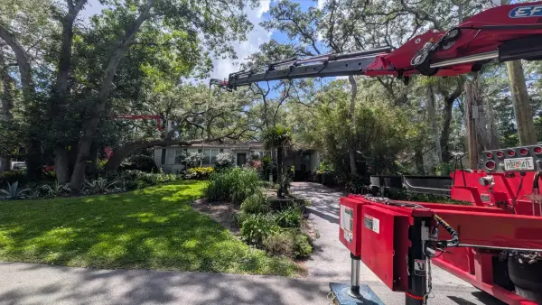 Crane tree removal — crane tree removal in Jacksonville, FL by Jax Tree Removal