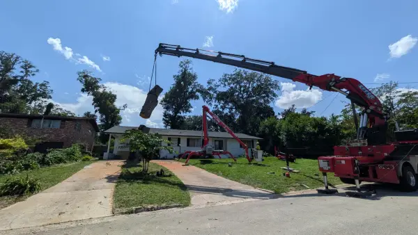 Crane tree removal — crane tree removal in Jacksonville, FL by Jax Tree Removal