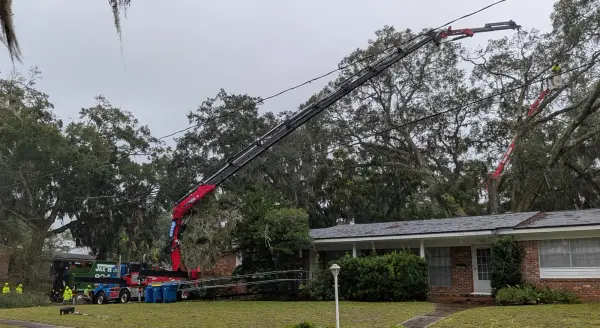 Crane tree removal — crane tree removal in Jacksonville, FL by Jax Tree Removal