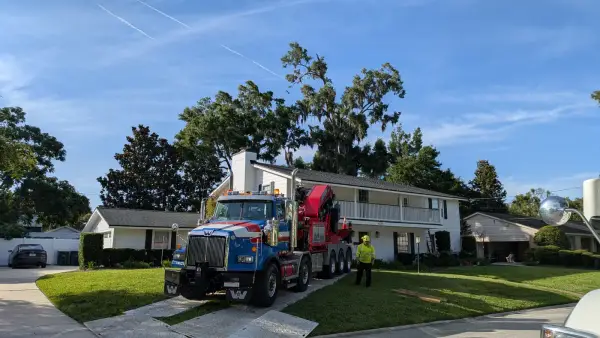 Crane tree removal — crane tree removal in Jacksonville, FL by Jax Tree Removal