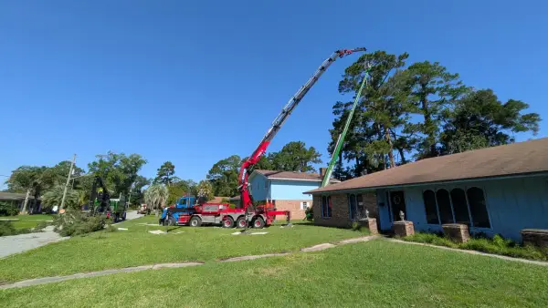 Crane tree removal — crane tree removal in Jacksonville, FL by Jax Tree Removal