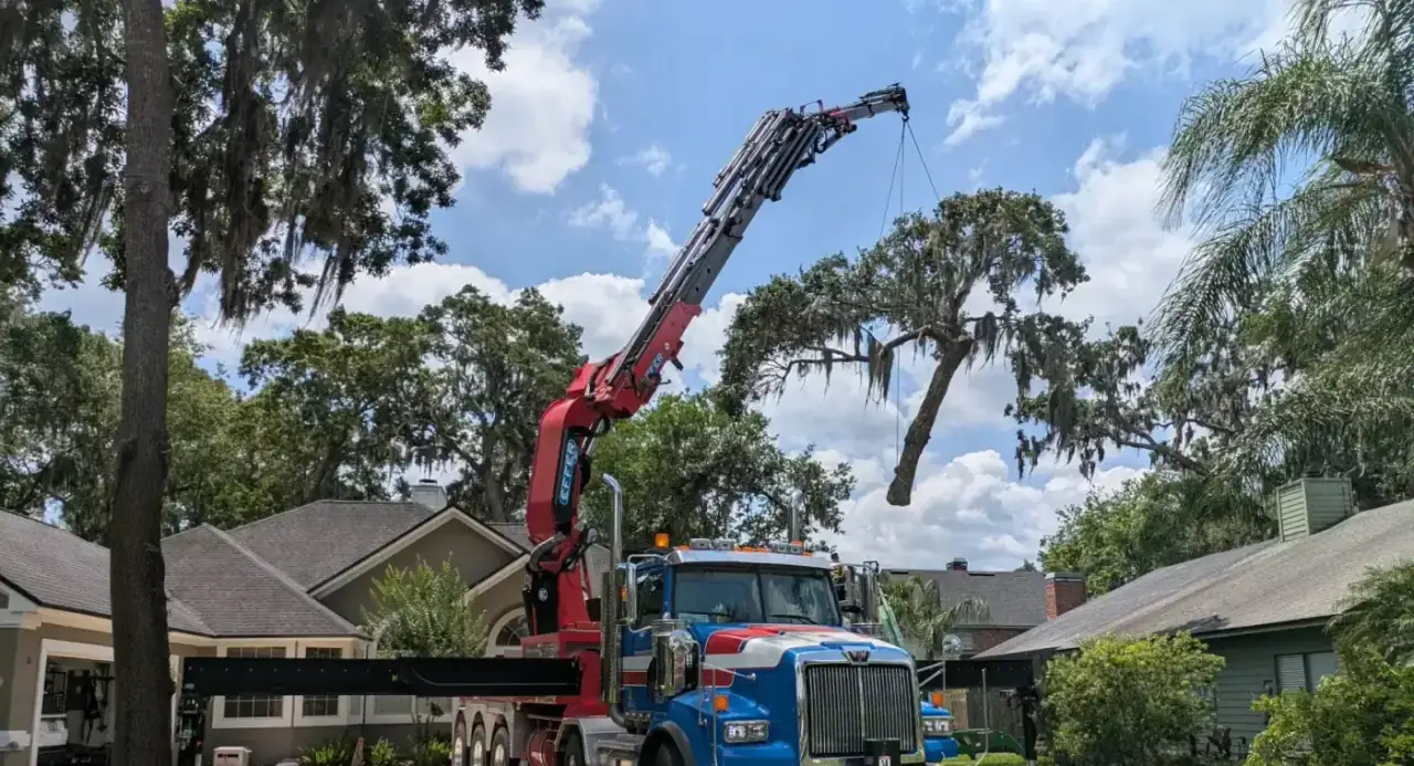 Home hero — crane tree removal in Jacksonville, FL by Jax Tree Removal